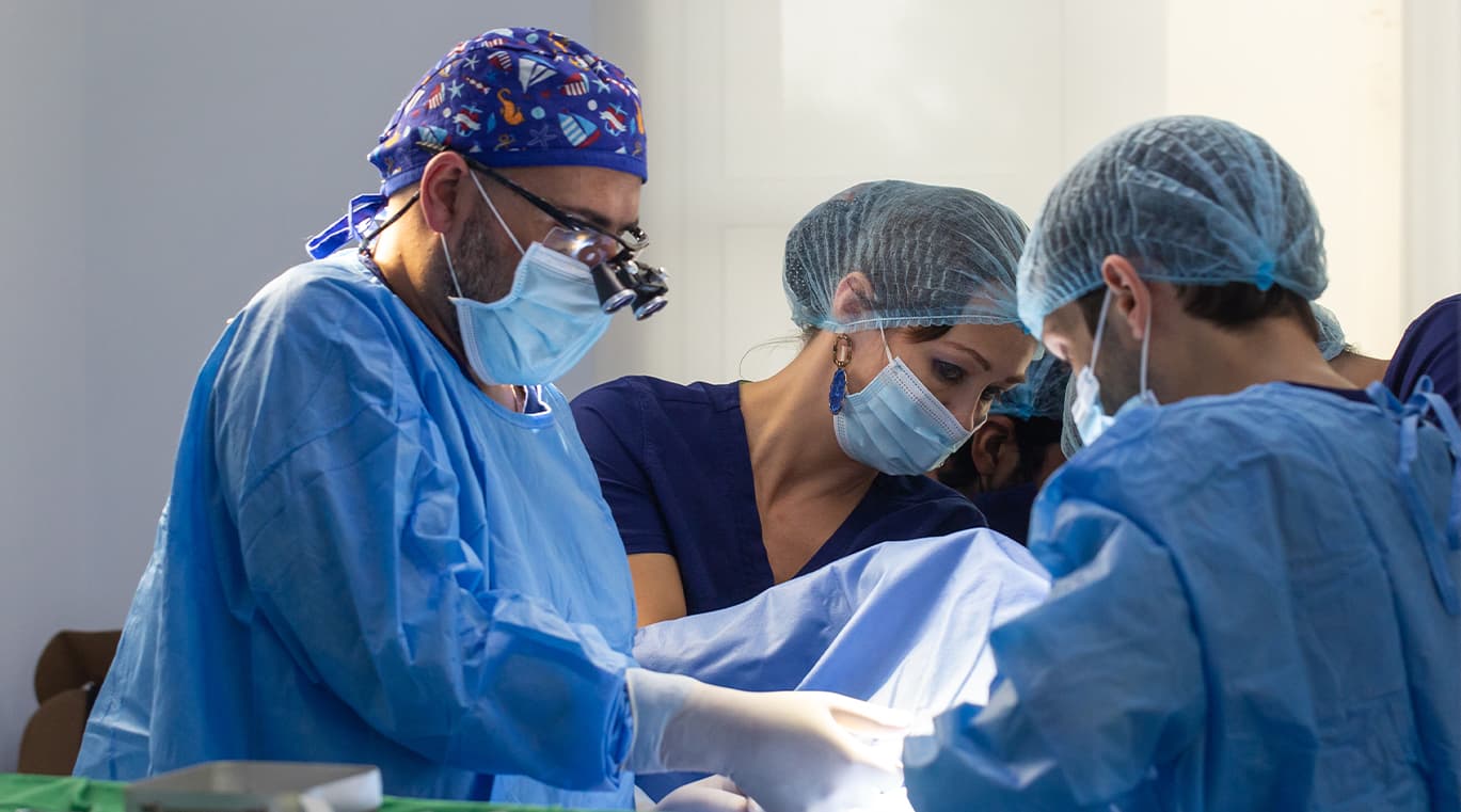 Kitty surgical operation