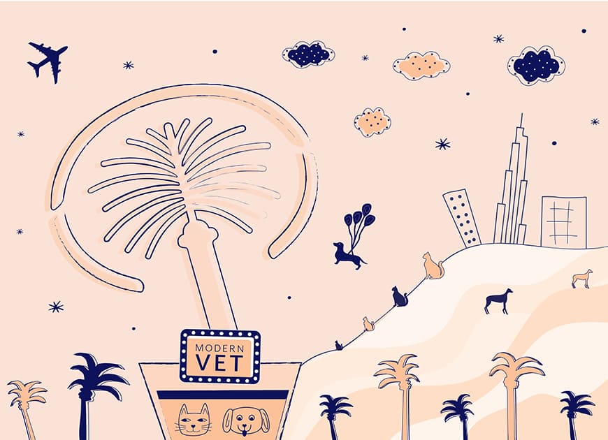 Modern vet palm logo