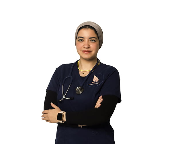 Dr. Sarah Yosry Dr. Sarah Yosry