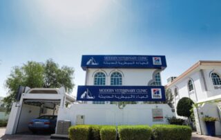 Modern Vet Hospital