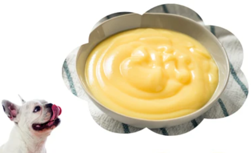Can dogs eat custard? Can dogs eat custard?