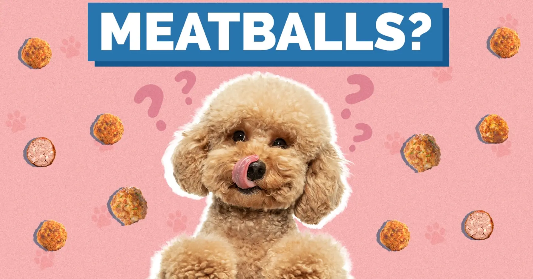 Can dogs eat meatballs? Can dogs eat meatballs?