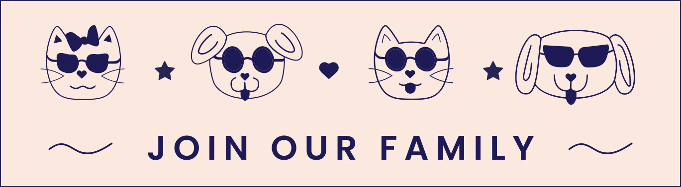 modernvet contact us