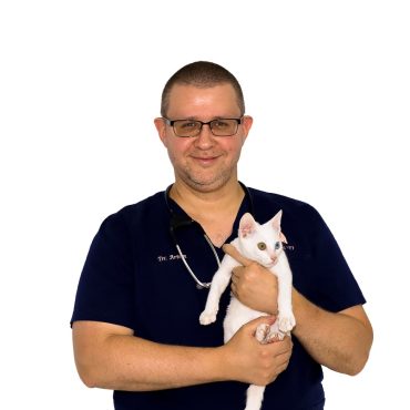 Dr. Artem Pavlyuchenko