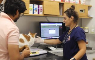 Dr. Krystel Tabet and cat