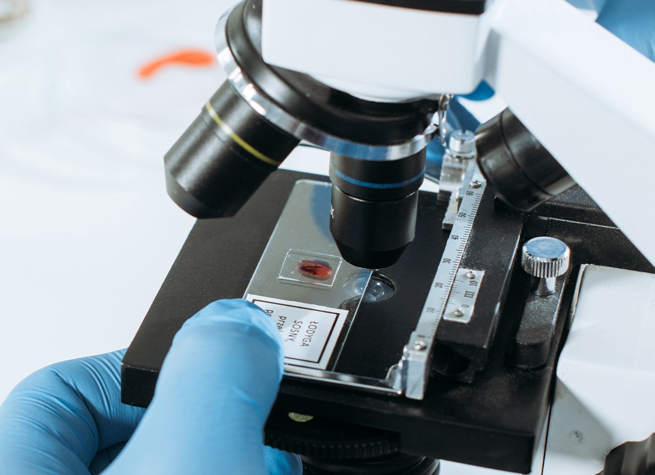 Examining a sample under a microscope