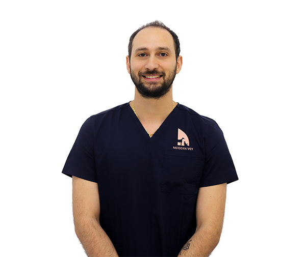 Roy Hassoun Roy Hassoun