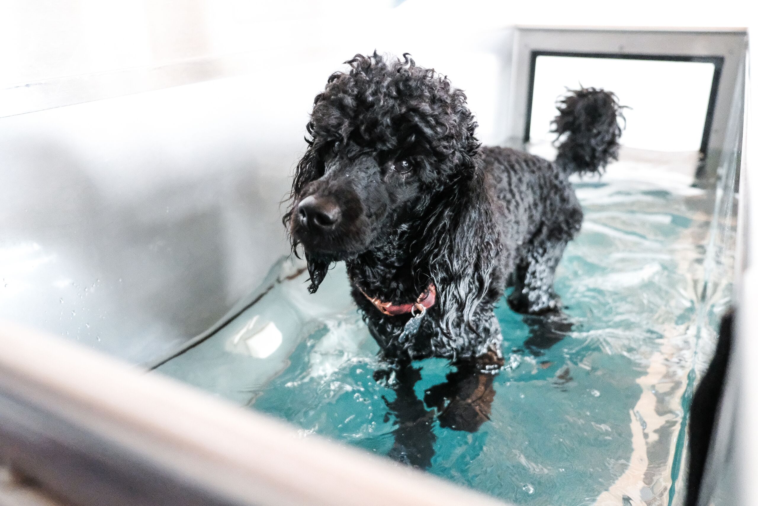 Hydrotherapy Hydrotherapy